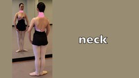 neck