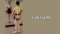 sacrum