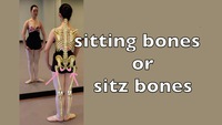 sitting bones or sitz bones